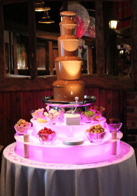 Dribblys Chocolate fountain Hire Guildford